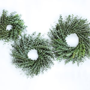 Fresh Cut Living Eucalyptus Greenery Wreath 20" Front Door Porch Church Farmhouse Décor Wedding House Warming Gift for Her Him Mom Bouquet image 10
