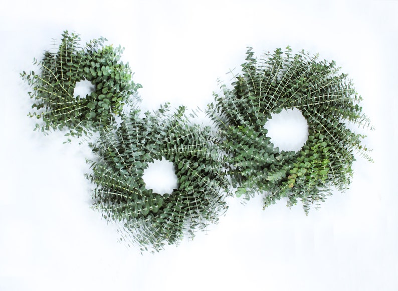 Fresh Cut Living Eucalyptus Greenery Wreath 20" Front Door Porch Church Farmhouse Décor Wedding House Warming Gift for Her Him Mom Bouquet image 10