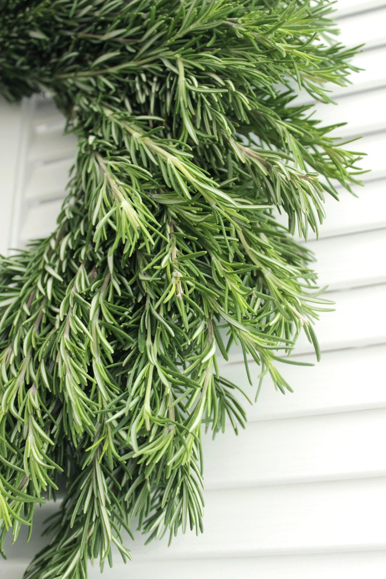 Fresh Handmade Rosemary Wreath 20 inch for Front Door, Church Door, Wedding, Home Decor, Gift for Loved Ones image 8