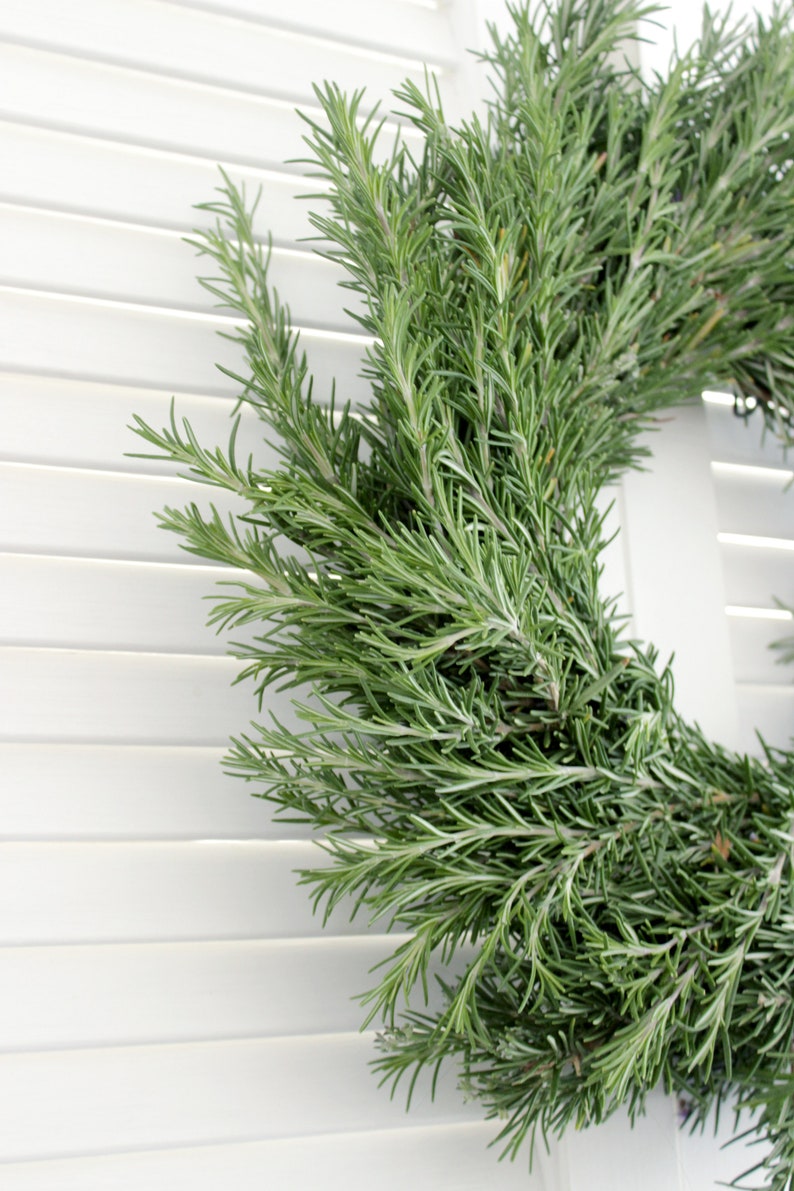 Fresh Handmade Rosemary Wreath 16 Inch Greenery Wreath for Etsy
