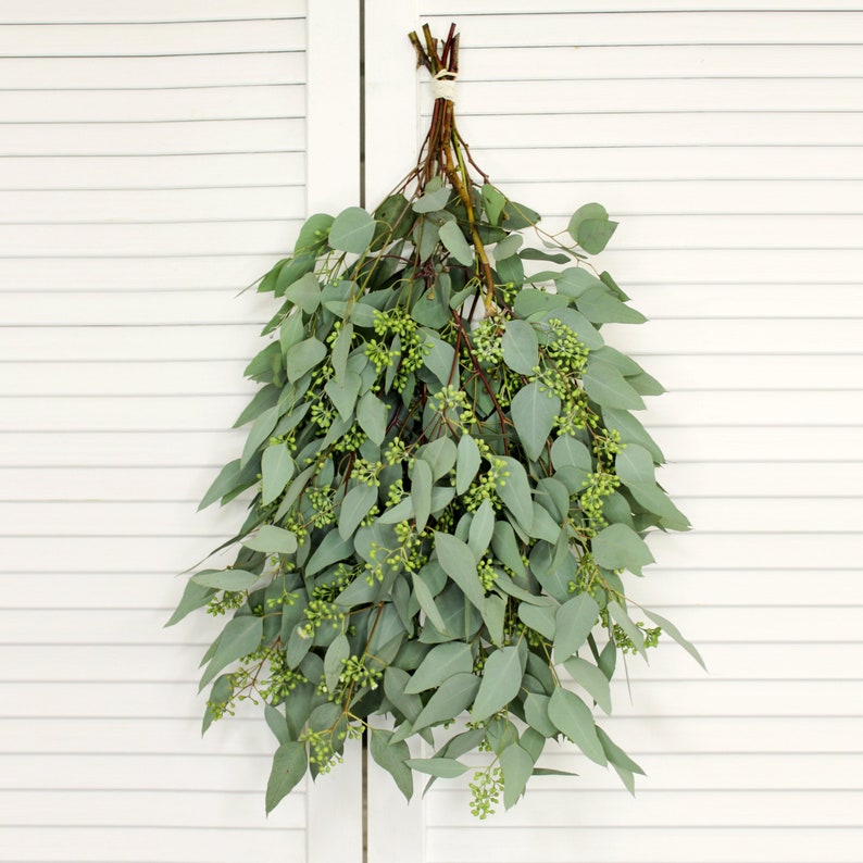 Buy Fresh Eucalyptus Seeded Greenery Bunch Wedding DIY Bouquet Online