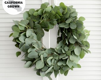 Fresh Handmade Eucalyptus Wreath - Silver Dollar Eucalyptus - Greenery Wreath - for Front Door, Church Door, Home Decor, Wedding