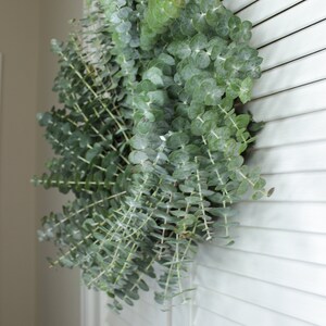 Fresh Cut Living Eucalyptus Greenery Wreath 20" Front Door Porch Church Farmhouse Décor Wedding House Warming Gift for Her Him Mom Bouquet image 5