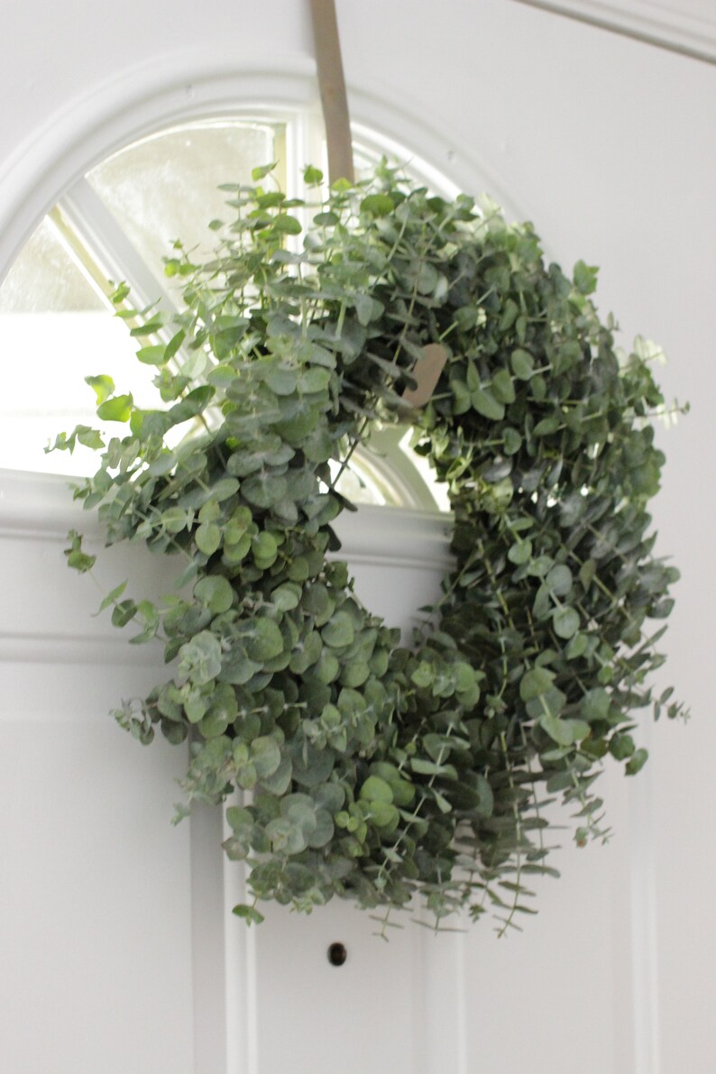 Fresh Cut Living Eucalyptus Greenery Wreath 20" Front Door Porch Church Farmhouse Décor Wedding House Warming Gift for Her Him Mom Bouquet image 2