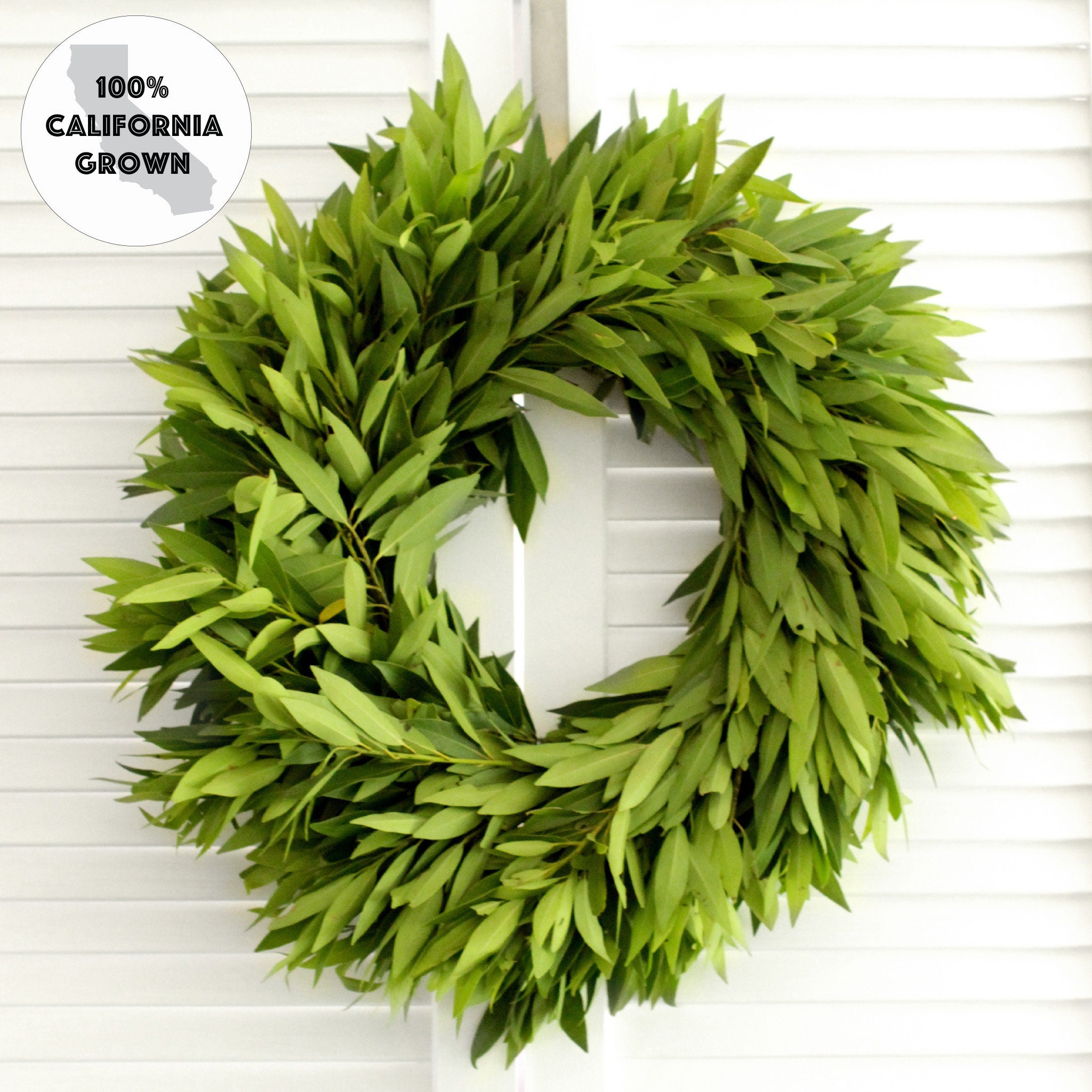 Fresh Bay Leaf Wreath 20 Inch Greenery Wreath for Front Etsy