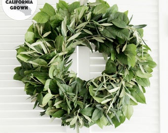 Fresh Handmade Wreath - Olive Branch + Lemon Leaf Wreath 20" - Greenery Wreath for Front Door, Church Door, Wedding, Home Decor