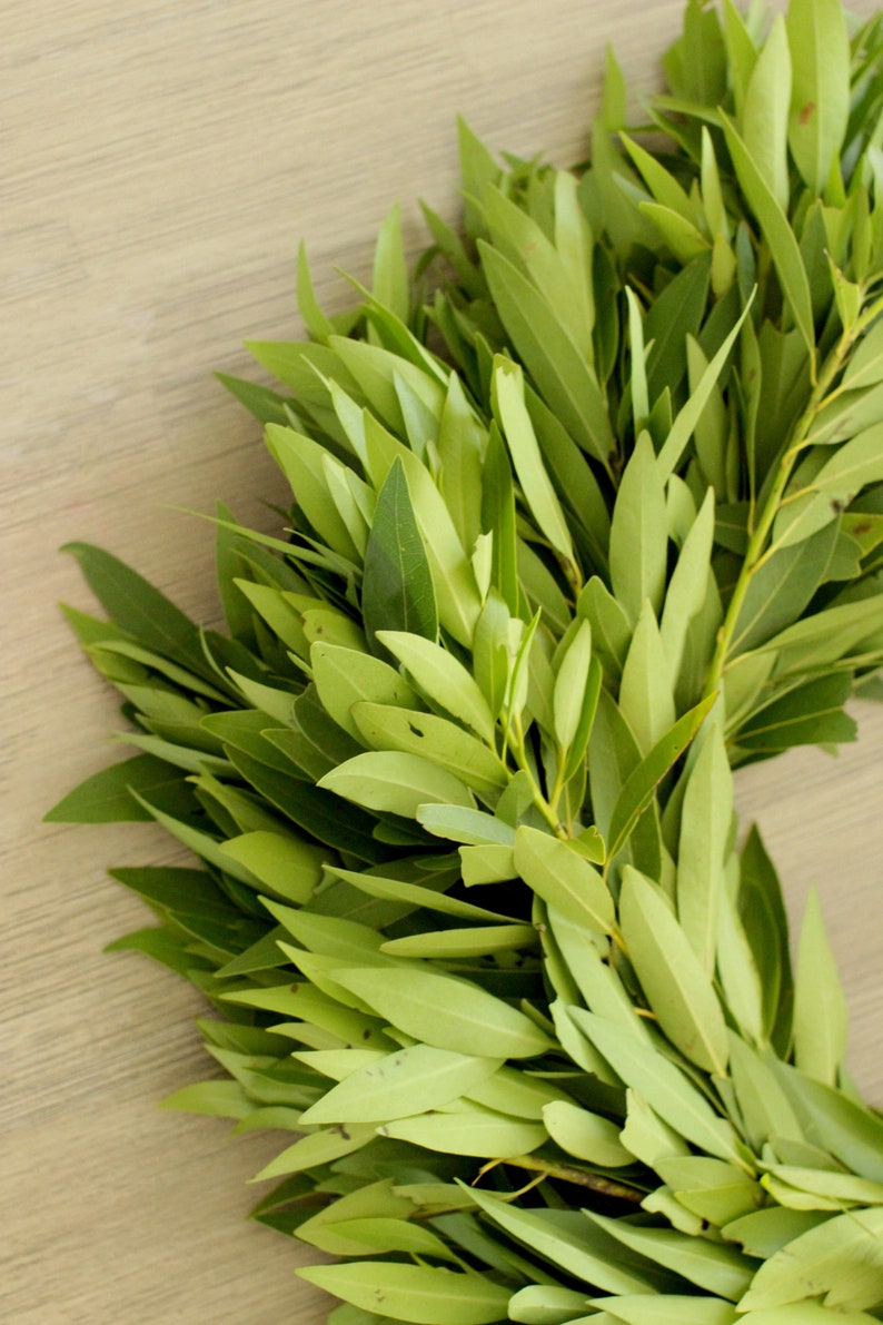 Fresh Bay Leaf Wreath 24 Inch Greenery Wreath for Front Etsy