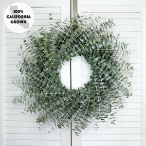 Fresh Cut Living Eucalyptus Greenery Wreath 20" Front Door Porch Church Farmhouse Décor Wedding House Warming Gift for Her Him Mom Bouquet image 1
