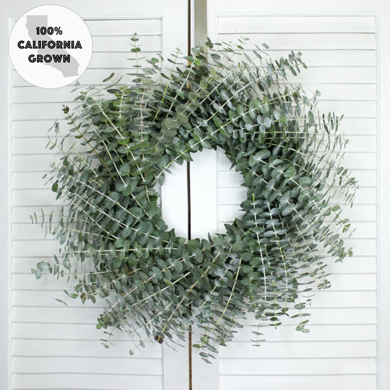 Fresh Cut Living Eucalyptus Greenery Wreath 20" Front Door Porch Church Farmhouse Décor Wedding House Warming Gift for Her Him Mom Bouquet image 1