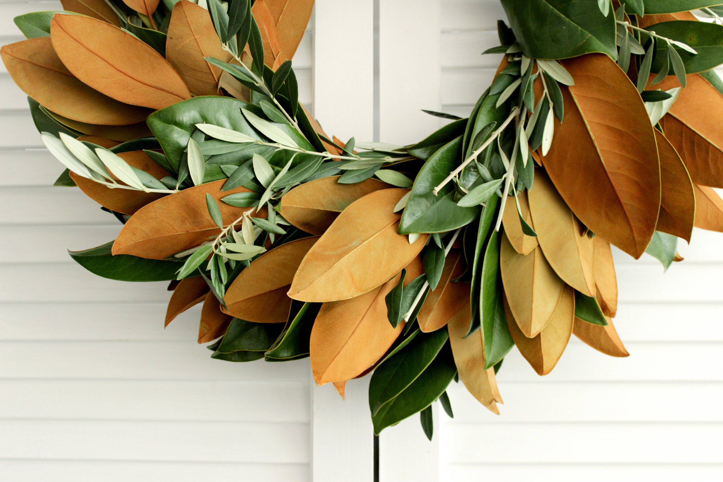 Fresh Handmade Magnolia Olive Branch Wreath 20 inches Etsy