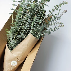 Fresh Living Eucalyptus Bunch Greenery Home Decor Wedding House Warming Gift for Her Him Mom Shower Bundle Spa Thinking of you Bouquet