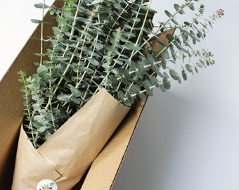 May include: A bunch of eucalyptus stems wrapped in brown paper with a small sticker, inside a cardboard box.