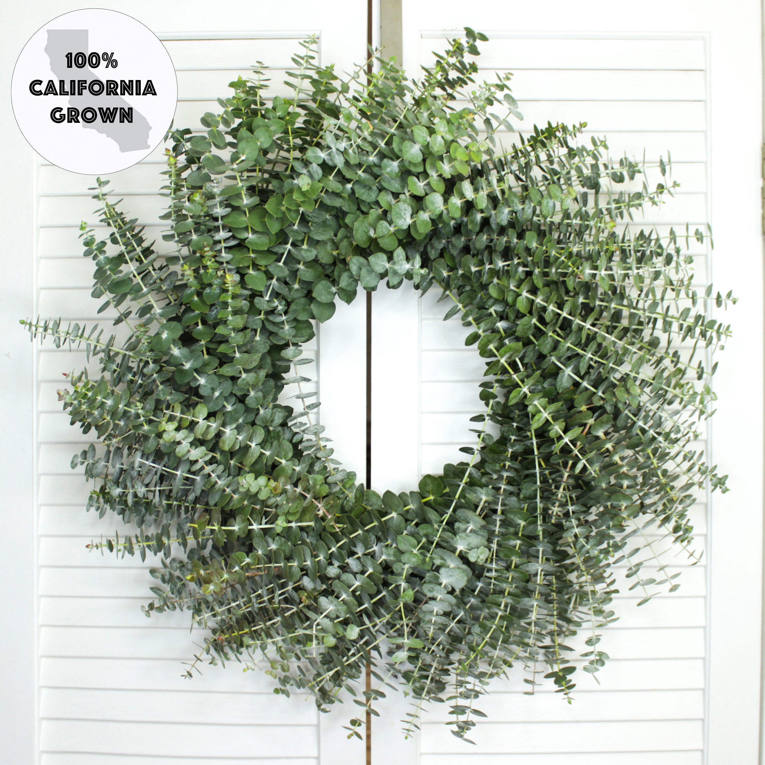 Year Round Farmhouse Wreaths, 24 Inch Eucalyptus and Bayleaf Wreath 