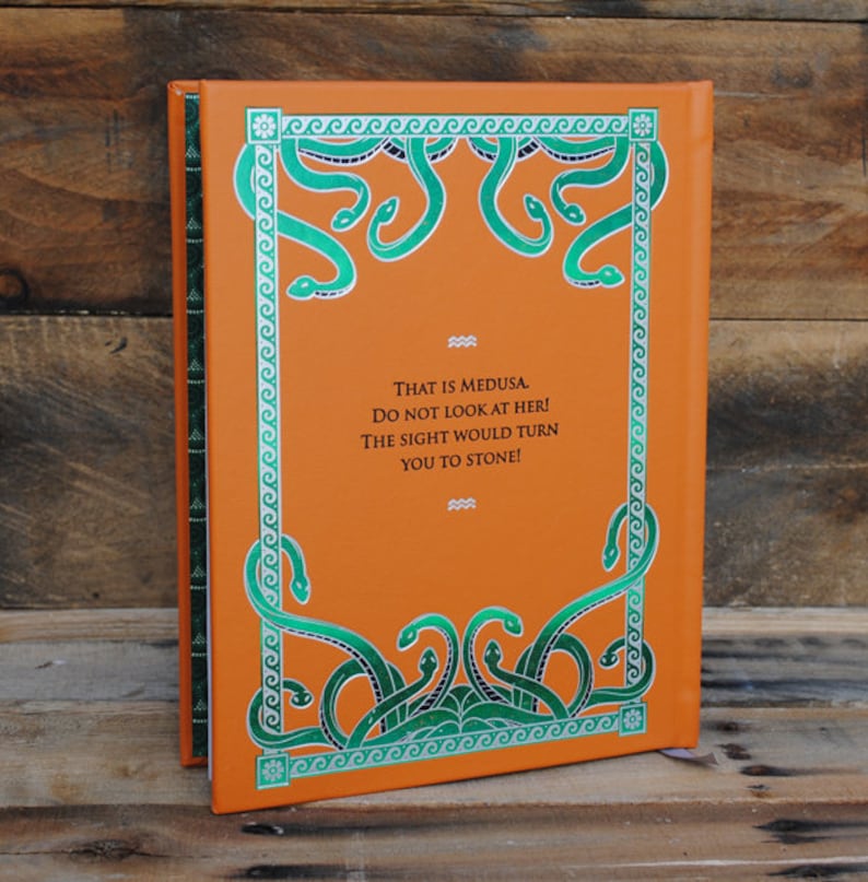 Puede incluir: La cubierta trasera de un libro con un fondo naranja y un dise&ntilde;o de serpiente verde. El texto en la cubierta dice "THAT IS MEDUSA. DO NOT LOOK AT HER! THE SIGHT WOULD TURN YOU TO STONE!"