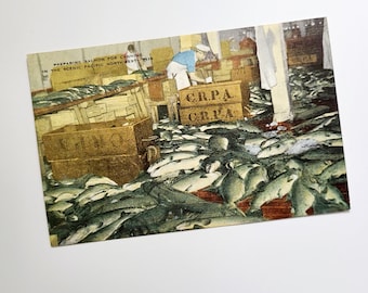 Vintage cannery postcard. Chinook salmon. Pacific Northwest. Fishing ephemera. Seafood. Collectible card. Columbia River Packers Association