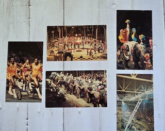 5 Ringling Bros. - Barnum and Bailey Circus postcards, 1970s. Clowns, King Charles Troupe, Elvin Bale.