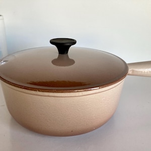 May include: A beige and brown enameled cast iron Dutch oven with a lid and handle. The lid has a black knob. The Dutch oven is on a white surface. A white ceramic container with a blue bird illustration is in the background.