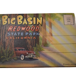Vintage jaren 30 ansichtkaart redwood park souvenir toeristische accordeon uitgevouwen foto schilderachtige locaties collectie dode inventaris ansichtkaarten papier kortstondig