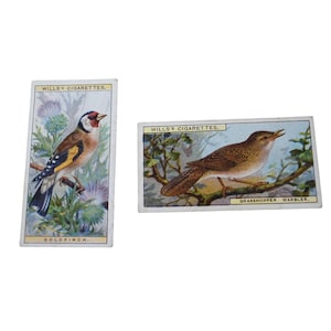 Antique Wills Cigarettes 1917 Britische Vögel Serie Grasshopper Warbler (27) Goldfinch (6) Werbung Premium UK Karten Papier Ephemera