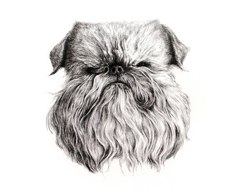 Brussels Griffon Illustration, Pen & Ink