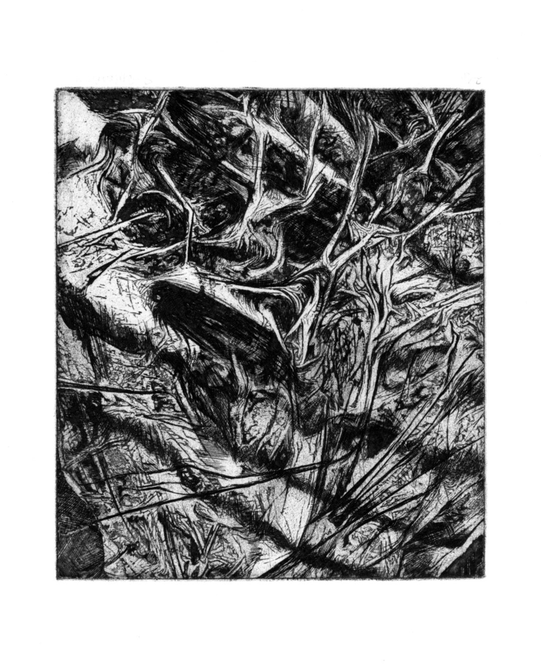 Abstract Intaglio Print on Archival Paper 'part 4' Etsy