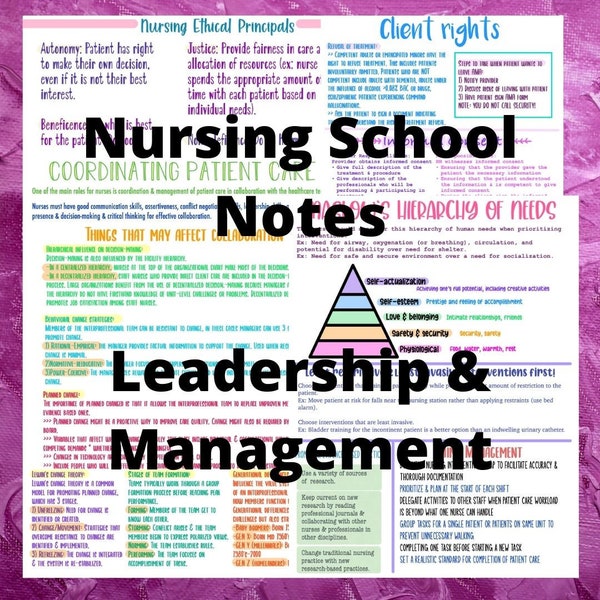 Leadership and Management nursing school notes | 12 full pages of notes | Instant Digital Download PDF