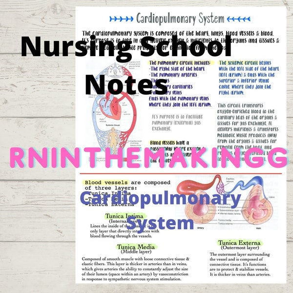 Nursing School Notes | Cardiopulmonary System | Pulmonary + Systemic circuit | Blood vessels + layers + functions