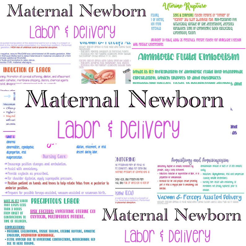 Labor and Delivery Maternal Newborn OB Nursing Notes Etsy