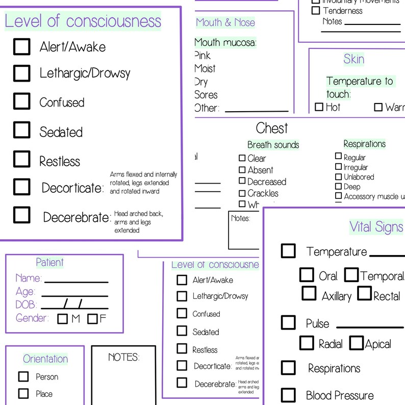 head-to-toe-assessment-template-nursing-school-new-nurse-etsy