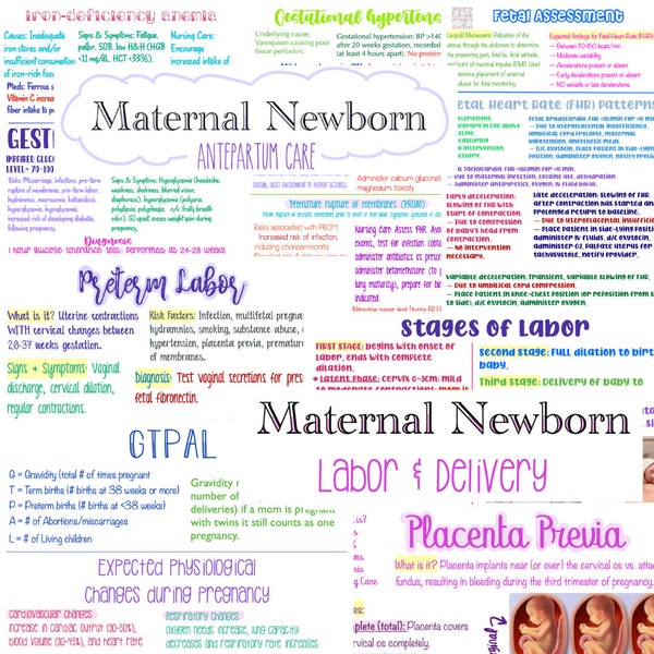 BUNDLE Maternal Newborn OB BUNDLE Antepartum and Labor & Delivery Nursing Notes