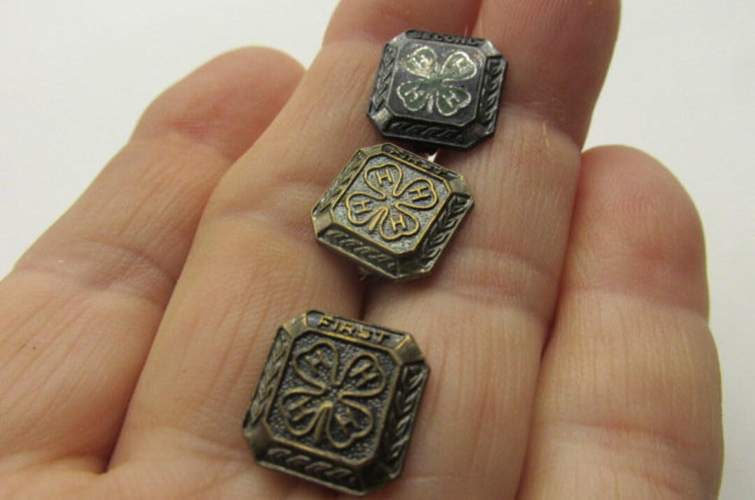 2 Years Pin Vintage 4H PINS One-sterling Silver & Two-enamel Pins; 4H Award Pins ...