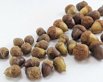 Artificial Acorns for Fall Harvest Floral Arrangements, Crafts, Thanksgiving Xmas Decor and Cornucopia Basket Filler