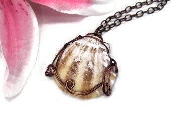 Mermaid Shell Necklace - Wire Wrapped Shell Necklace - Copper Beach Pendant