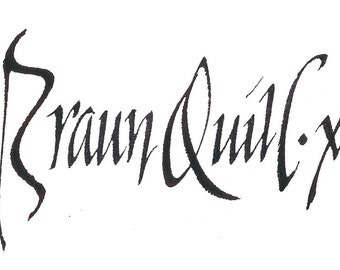 Braun Quill.X