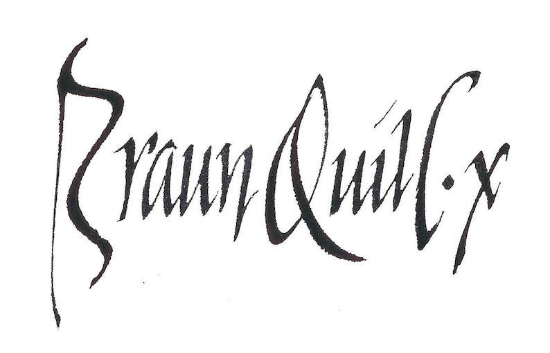 Braun Quill.X afbeelding 1