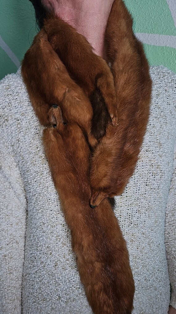 Vintage 1940's 1950's Mink Stole Wrap - image 8