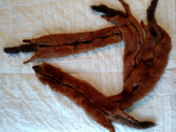 Vintage 1940's 1950's Mink Stole Wrap - image 4