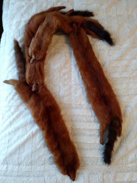 Vintage 1940's 1950's Mink Stole Wrap - image 2