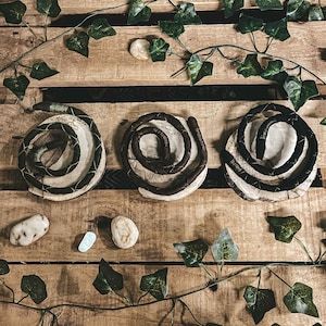 Peut inclure: Trois sous-verres ronds en corde tressée noire et brune avec une base en bois naturel. Les sous-verres sont disposés sur une surface en bois avec des vignes de lierre vertes.