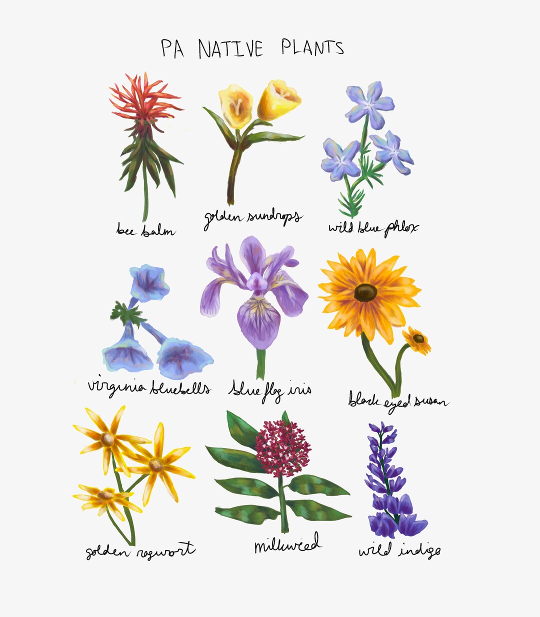 PA Native Plants Print - Etsy