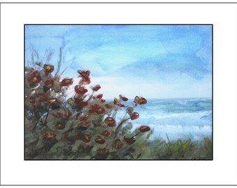 Sea Oats - Indialantic I