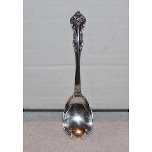 May include: A silver spoon with an ornate handle and a petal-shaped bowl. The spoon is made of a shiny, reflective metal and is likely used for serving or eating. The handle features detailed floral designs.