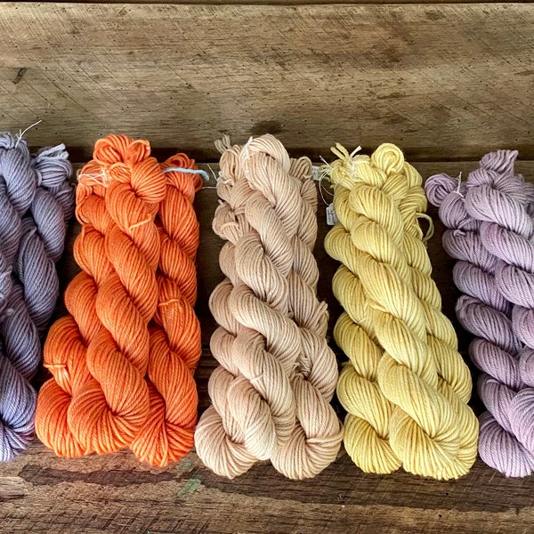 DK, 49 yards, 20g Each, Botanical Hand Dyed Yarn Minis, Small Batch, Mix and Match, Fine Superwash Merino, 4ply