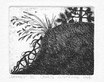 Original Radierung Druck: Limitierte Auflage Fine Art Druck, Schwarz-Weiße Felsküste Baum Landschaft