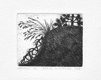 Small Nature ETCHING Original Art PRINT Pine Tree Roots Wall Art, Limited Edition Nature Inspired hand printed prints