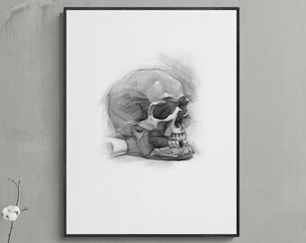 Human Skull Art Print | Anatomy Pencil Drawing | Gothic Dark Academia Wall Art | Digital Download