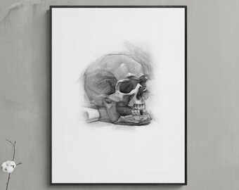 HUMAN SKULL Print, Downloadable Art, Pencil Drawing Print