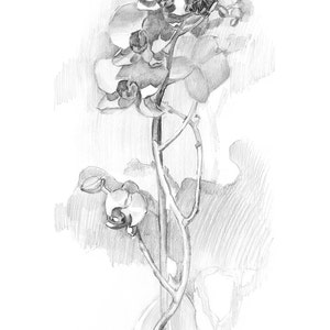 Floral Art Prints Download, Minimalist Orchid Flower Wall Art, Plant Pencil Drawing Print image 3