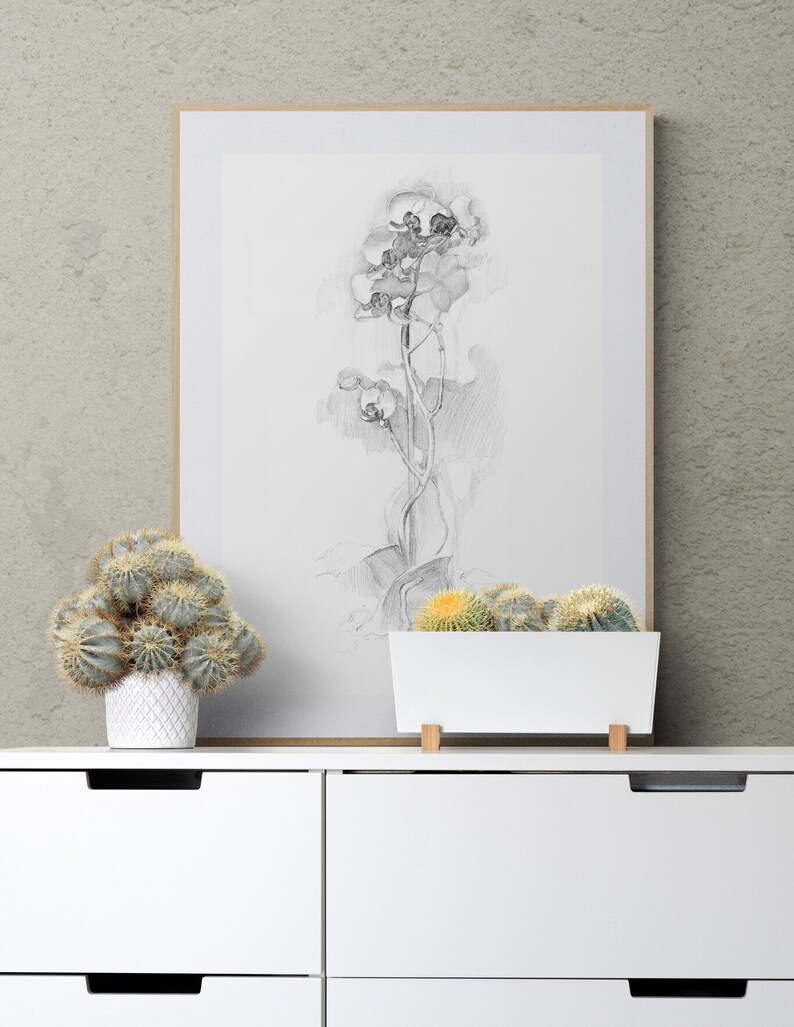 Floral Art Prints Download, Minimalist Orchid Flower Wall Art, Plant Pencil Drawing Print image 9