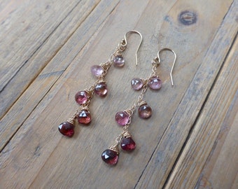 Ombre Pink Tourmalines Dangler Drop Earrings Gold